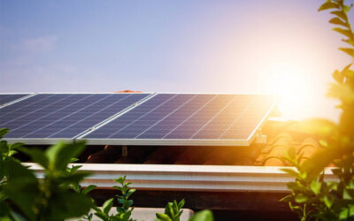 Panneaux solaires : combien de temps faut-il pour rentabiliser son installation ?