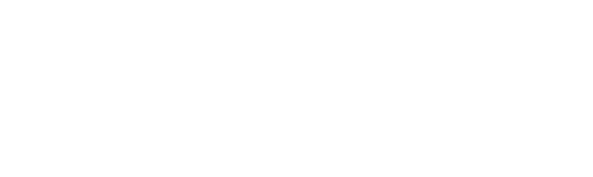 logo-final-novasun-footer