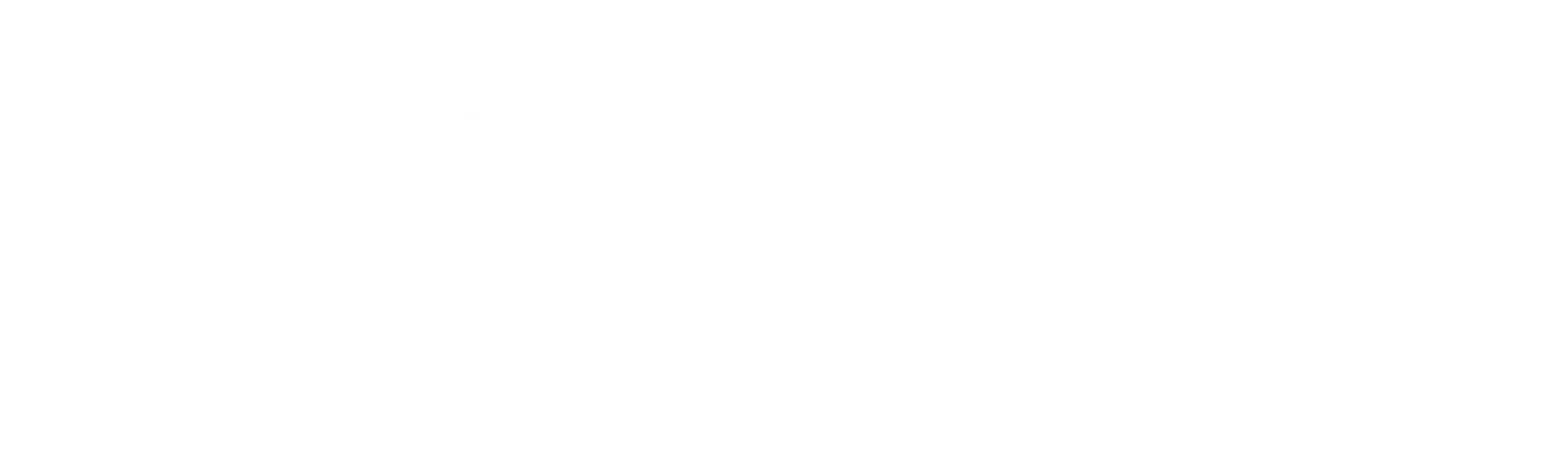 logo-neosun-footer